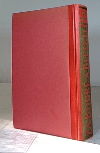 Za bouře a blesků nebo Otec Drabicius a hranická poprava