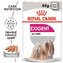Kapsička Royal Canin CCN Wet Exigent 12x85g (BAL.)