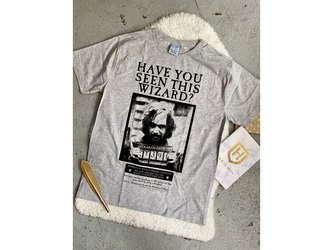 Tričko pánské, Sirius Black šedé, Harry Potter Velikost: XL