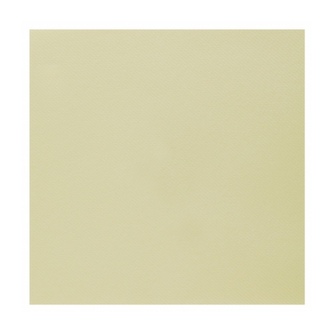 Ubrousky - Airlaid, champagne 20  ks