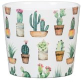Obal 870 Cactus Garden 09