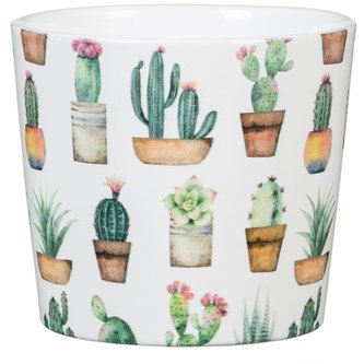 Obal 870 Cactus Garden 09