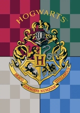 Deka fleecová barevná, Harry Potter