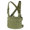 Vesta taktická MOLLE CHEST RIG PANEL ZELENÁ