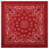 Šátek 55 x 55 cm TRAINMEN ČERVENÝ / BÍLÝ