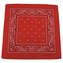Šátek BANDANA 55x55 cm ČERVENÁ/BÍLÁ