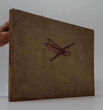 Kytička z náčrtníku