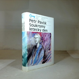 Soukromý letecký den