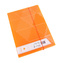 Noki, Box na dokumenty Neon, PP, A4+, oranžová