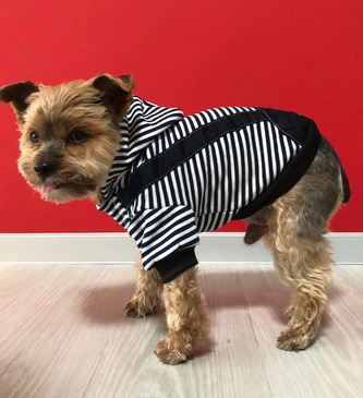 Pruhovaná zimní mikina pro psa Modrá L