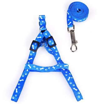 Postroj s vodítkem pro psa a kočku 147/1,5cm Modrá