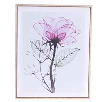 Obraz na plátně v rámu, 0/12