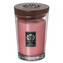 Large Candle - Succulent Pink Grapefruit, Large Candle | Pink | Fruity | Succulent Pink Grapefruit