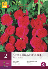 Karta - Proskurník topolovka růžová DOUBLE RED (2 hlízy) "B"
