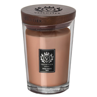 Large Candle - Wild Cedar Tree, Large Candle | Brown | Sensual;Woody | Wild Cedar Tree
