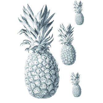 Samolepka na textil, zažehlovací, 19x28 cm, motiv ANANAS, barevná