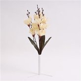 Kytice gladiol 371431-26