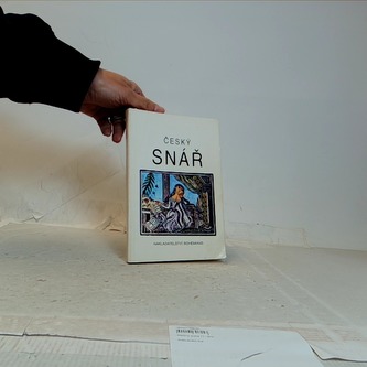 Český snář