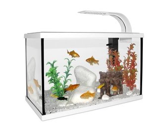 CAT-GATO Akvar.Set 40x20x25cm 20L bily CAT-GATO Akvar.Set 40x20x25cm 20L bily