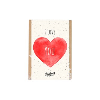 Blossombs Semínkové bomby - Dárková sada mini "Miluji tě" (4 ks)