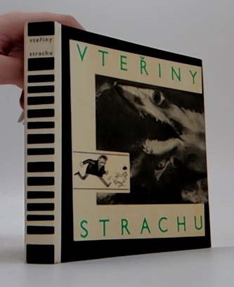 Vteřiny strachu