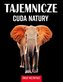 Tajemnicze cuda natury. Świat niezwykły
