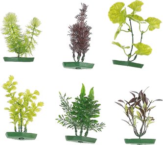 FLAMINGO  akvarijní rostliny mix   S FLAMINGO  akvarijní rostliny mix   S