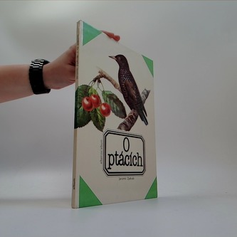 O ptácích