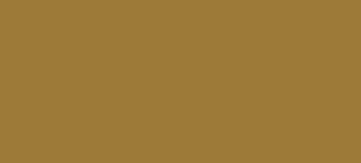 Šelaková tuš Rohrer 50ml – 504 gold