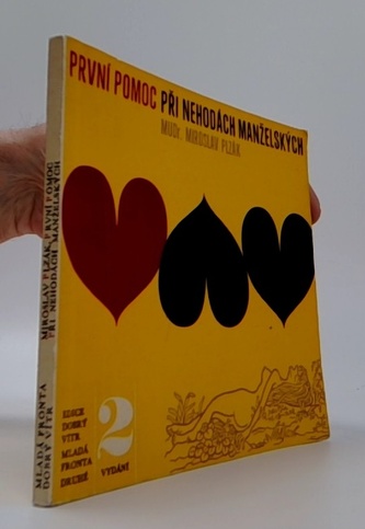 První pomoc při nehodách manželských