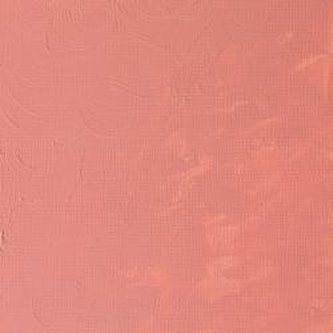Olejová barva W&N Alkyd 37ml – 491 Pale Rose