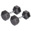 Hex Rubber Dumbbell činka 1 pár hmotnost 15 kg