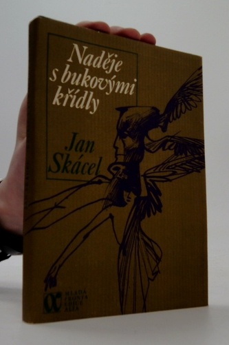 Naděje s bukovými křídly