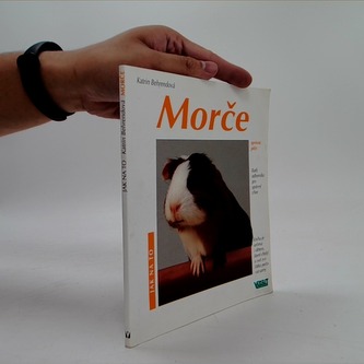 Morče-správná péče