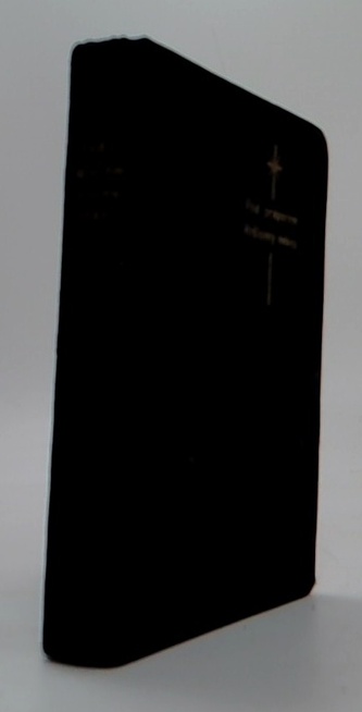 Pod praporem královny nebes