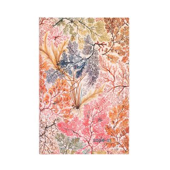 Kalendarz 2024/2025 18 m-cy. Anemone Maxi VER