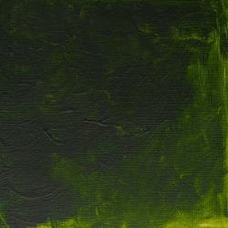 Olejová barva W&N Alkyd 37ml – 503 Permanent Sap Green