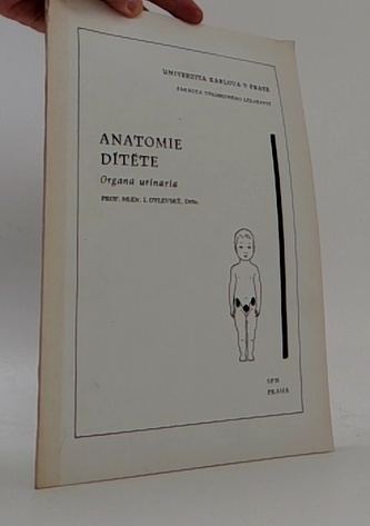 Anatomie dítěte