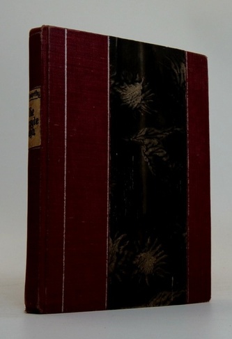 The forsyte    saga