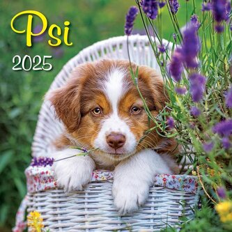 Psi 2025 - nástěnný kalendář