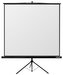 Reflecta TRIPOD Crystal 160x160cm (1:1, 87"/221cm, 156x156cm) plátno stojanové