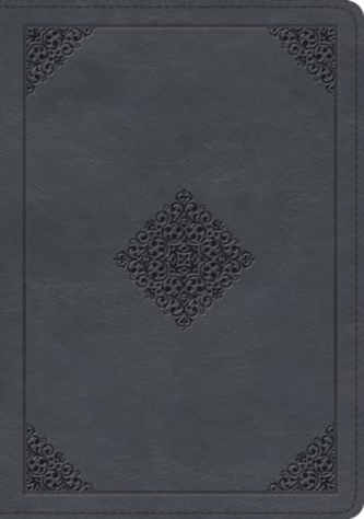 ESV Large Print Wide Margin Bible