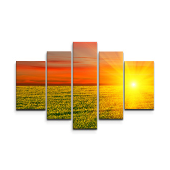 Obraz - 5-dílný Západ slunce nad loukou: 125x90 cm