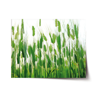 Plakát Klasy: 120x80 cm Plakát Klasy: 120x80 cm