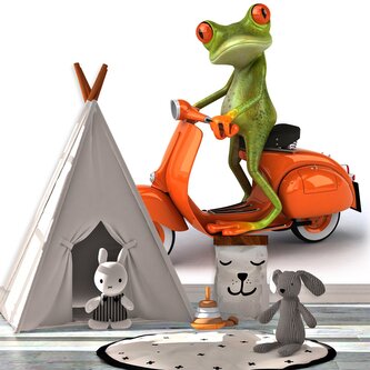 Tapeta Žába na motorce: 336x220 cm