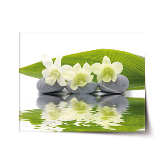 Plakát Bílá orchidej: 60x40 cm Plakát Bílá orchidej: 60x40 cm