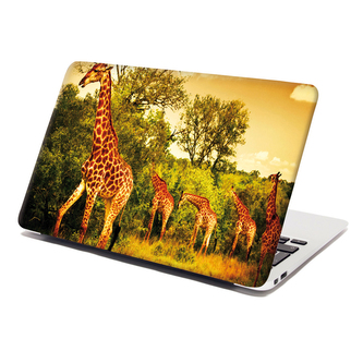 Samolepka na notebook Žirafy: 38x26 cm