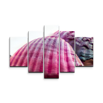 Obraz - 5-dílný Mušličky: 125x90 cm