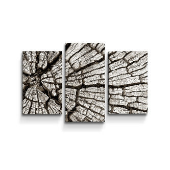 Obraz - 3-dílný Dřevo: 75x50 cm