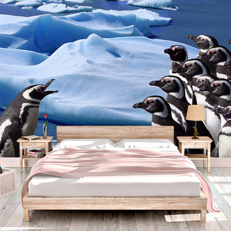 Tapeta Tučňáci: 125x75 cm Tapeta Tučňáci: 125x75 cm